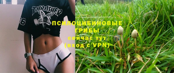 mdpv Новокубанск